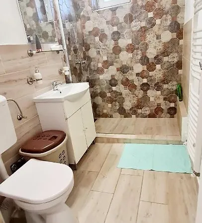 Larisa Cluj-Napoca